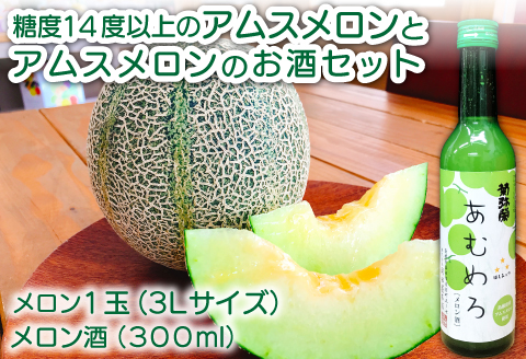 A-971 絶品糖度14度以上のアムスメロンとアムスメロンのお酒セット【先行予約 メロン めろん アムスメロン 1玉 メロンのお酒 300ml 1本 セット 糖度14度以上 早期予約 季節限定 期間限定 果物 くだもの フルーツ あむめろ 酒 メロン酒 フルーツ酒 アムス アルコール度数 8度】