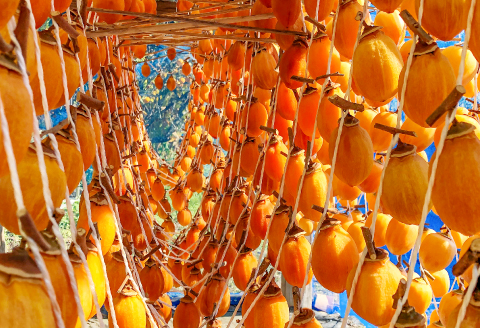 A-858 あまーい「干し柿」(つるし柿)