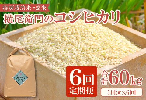 D-1116 【定期便】横尾衛門のコシヒカリ玄米 10㎏ 6回コース【新米 定期便 定期 6回 米 お米 ブランド米 こしひかり コシヒカリ 玄米 10kg×6回 合計60kg】