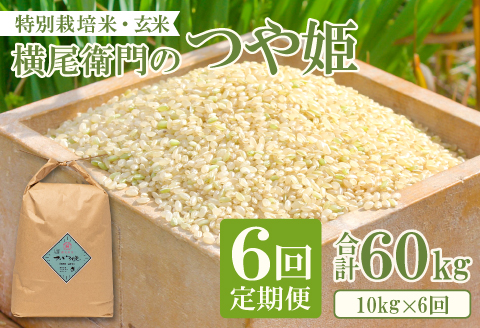 D-1117 【定期便】横尾衛門のつや姫 玄米10㎏ 6回コース【新米 定期便 定期 6回 米 お米 ブランド米 つや姫 ツヤ姫 玄米 10kg×6回 合計60kg】
