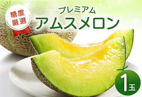 A-189 【先行予約】糖度厳選プレミアム アムスメロン 1玉【メロン 先行予約 糖度16度以上 季節限定 期間限定 早期予約 めろん 果物 くだもの フルーツ】