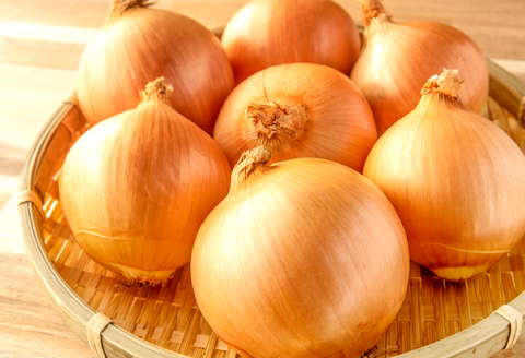 A-1065 益田産手みがき玉葱 10kg