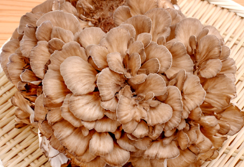 A-1063 朝採れ株舞茸 約1.2kg（約400g×3株）【野菜 きのこ キノコ 舞茸 まいたけ マイタケ 約1.2kg 約400g 3株 朝採れ 美味しい おいしい 健康食材】