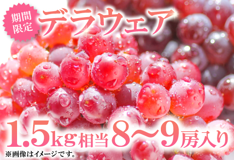 A-164 益田産デラウェア