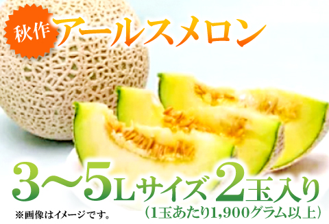 A-167 益田産アールスメロン（2玉入り）【秋作】