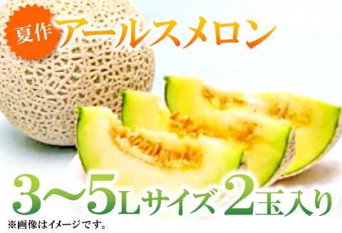 B-161 益田産アールスメロン8kg（5～6玉入り）【夏作】