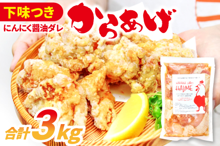 B-1061 ハジメのからあげ　秘伝ダレの下味付き鶏モモ肉（300g×10袋）【鶏肉 もも肉 唐揚げ にんにく醤油 冷凍 揚げ物 お弁当 運動会 バーベキュー BBQ ホームパーティ 300g×10袋 肉 若鶏もも肉 下味付き】