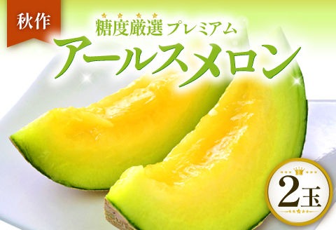 B-505 ［秋作］糖度厳選プレミアム アールスメロン 2玉