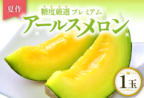 A-762 【先行予約】［夏作］糖度厳選プレミアム アールスメロン 1玉【メロン 先行予約 青肉 めろん 早期予約 期間限定 季節限定 果物 くだもの フルーツ アールスメロン 1玉 夏作 糖度16度以上 7月～8月発送】