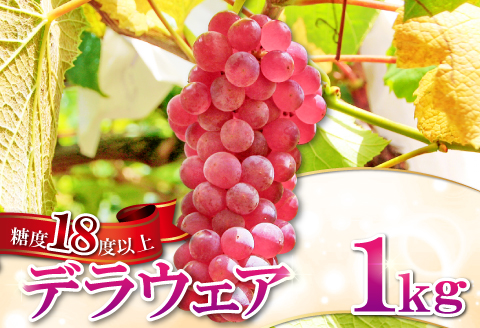 A-408 椋さんのこだわり デラウェア 1kg【デラウェア 先行予約 デラウエア 先行 果物 くだもの フルーツ ブドウ ぶどう 葡萄 期間限定 季節限定 早期予約 糖度18度以上 種なし】