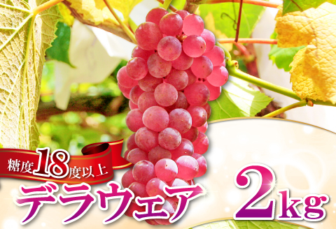 C-560 早出し 椋さんのこだわり デラウェア 2kg【先行予約 デラウエア 10～12房 果物 くだもの フルーツ ブドウ ぶどう 葡萄 期間限定 季節限定 早期予約】