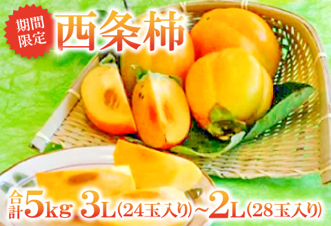 A-163 甘さたっぷり　益田特産　西条柿
