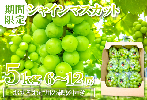 D-524 【先行予約】甘くて美味しい シャインマスカット 5kg（6～12房）【ぶどう 先行予約 ぶどうシャインマスカット シャインマスカット しゃいんますかっと 葡萄 ブドウ マスカット 5.0kg 6房～12房 種なし たねなし 皮ごと 大粒 紙袋付き おすそわけ 期間限定 季節限定 8月中旬～9月下旬発送】