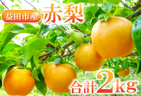 A-935 赤梨 2㎏(幸水梨・豊水梨・新高梨・新興梨)【梨 先行予約 赤梨 2kg 詰め合わせ セット 幸水梨 豊水梨 新高梨 新興梨 なし 果物 くだもの フルーツ 季節限定 期間限定 ギフト 贈り物】