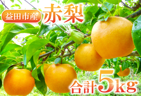 A-934 【先行予約】赤梨 5㎏(幸水梨・豊水梨・新高梨・新興梨)【梨 先行予約 季節限定 赤梨 5kg 10玉～16玉位 なし 幸水梨 豊水梨 新高梨 新興梨 期間限定 果物 フルーツ くだもの ギフト 贈答】