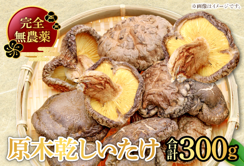 A-91 くぬぎ原木　乾しいたけ【50g×6袋 合計300g 野菜 きのこ キノコ 椎茸 しいたけ シイタケ 乾燥椎茸 原木乾燥しいたけ 無農薬】