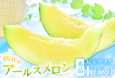 A-16 アールスメロン　秀品　大玉1玉【秋作】