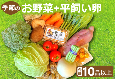 A-793 新鮮！季節のお野菜と平飼い卵のセット（10～12品）【野菜 10～12品以上 季節の野菜 旬 新鮮 取れたて お楽しみ 卵 たまご 平飼い卵 10個 破損保証 4個 詰め合わせ セット 冷蔵】