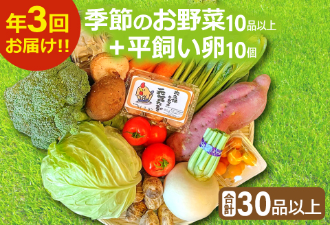 C-811 【3回定期便】季節のお野菜と平飼い卵のセット (10~12品) 【定期便 コース 野菜 やさい 旬の野菜 季節の野菜 おまかせ 採れたて 減農薬 減化学肥料 新鮮 10～12品 卵 たまご 平飼い卵 10個 破損保証 4個 詰め合わせ セット 冷蔵 全3回 定期】