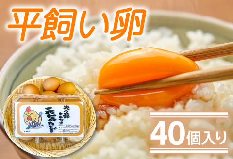 A-791 大久保さんちの元気たまご 平飼い 40個【卵 平飼い とれたて卵 破損保証8個 抗生物質不使用 安心 安全 新鮮 冷蔵 常温】