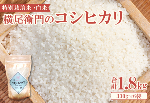 A-1137 【使い切りサイズ】横尾衛門のコシヒカリ 白米2合(300ｇ)×6袋【新米 米 お米 白米 精米 ブランド米 コシヒカリ こしひかり 小分け 使い切り おにぎり お弁当】