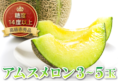 B-1150 糖度14度以上のアムスメロン 高級赤秀品　1ケース(3～5玉)【メロン 先行予約 糖度14度以上 アムスメロン めろん 高級 赤秀品 1ケース (3～5玉) メロン 早期予約 季節限定 期間限定 果物 くだもの フルーツ 贈答品 お土産 プレゼント 贈り物 ギフト 贈答】