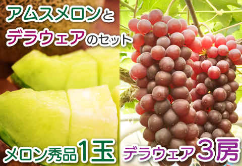A-1162 糖度14度以上のアムスメロン秀品1玉とデラウェア3房のセット（ギフトBOX)【先行予約 メロン デラウエア 果物 くだもの フルーツ ブドウ ぶどう 葡萄 3房 アムスメロン 秀品 1玉 期間限定 季節限定 早期予約 セット】