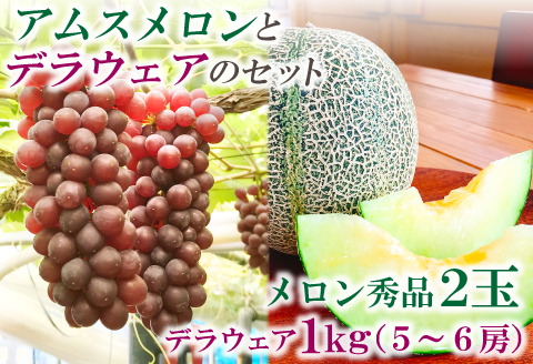 C-1163 糖度14度以上のアムスメロンとデラウェアのセット【先行予約 メロン デラウェア 数量限定 糖度14度以上 アムスメロン 秀品 2玉 1kg 5～6房 セット 早期予約 季節限定 期間限定 果物 くだもの フルーツ お土産 プレゼント 贈り物 贈答 ギフト 詰め合わせ】