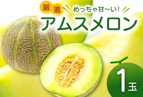 A-1156 【先行予約】めっちゃ甘い大玉アムスメロン 1玉【メロン 先行予約 めろん 果物 くだもの フルーツ 季節限定 期間限定 早期予約】