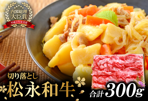 A-405 松永和牛 切り落とし 300g【牛肉 切り落とし 和牛 黒毛和牛 切落し 300g 肉 松永和牛 まつなが牛 冷凍】