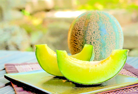 A-1169 アムスメロン 1玉