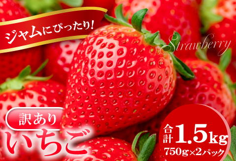 A-1181 ジャムにぴったり　訳あり いちご（750g×2パック）