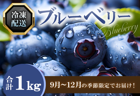 A-1221 冷凍ブルーベリー【ブルーベリー ぶるーべりー 1kg 冷凍 冷凍ブルーベリー 果物 くだもの フルーツ 産地直送 期間限定 季節限定 早期予約】