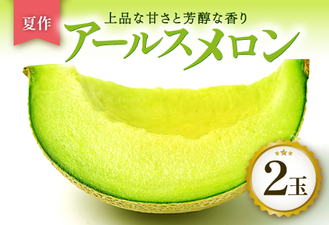 A-764 【先行予約】［夏作］アールスメロン 2玉【メロン 青肉 先行予約 めろん 2玉 期間限定 季節限定 早期予約 果物 フルーツ アールスメロン 夏作 7月発送】