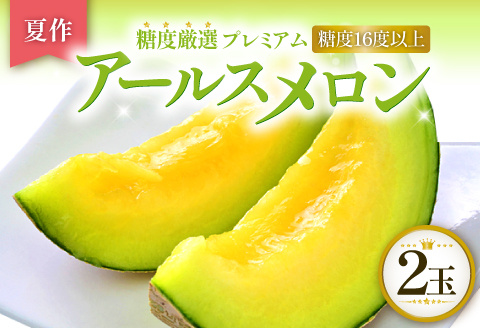 B-1009 【先行予約】[夏作] 糖度厳選プレミアム　アールスメロン2玉【メロン 糖度16度以上 夏作 先行予約 早期予約 季節限定 期間限定 果物 フルーツ めろん プレゼント 贈り物 ご褒美 贅沢】