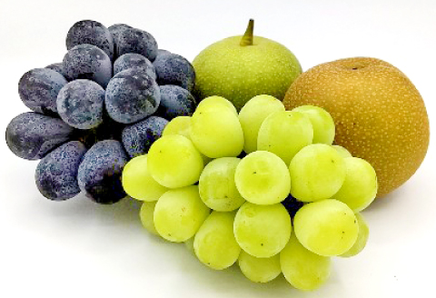 B-1170 赤梨とぶどうのセット