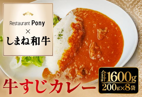 B-1202 Restaurant Pony 和田シェフが創る「しまね和牛」牛すじ入りデリシャスカレー 8袋【和牛 牛すじ ビーフカレー 欧風カレー 温めるだけ 簡単 時短 冷凍食品 惣菜 お取り寄せ グルメ】