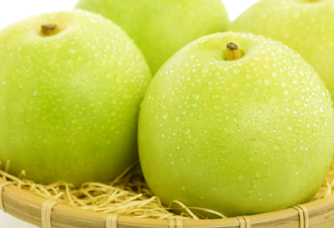 B-1279 【先行予約】青梨5kg【梨 青梨 瑞秋 5kg 先行予約 なし ナシ pear 期間限定 季節限定 果物 くだもの フルーツ お取り寄せ 特産品 島根県 益田市】