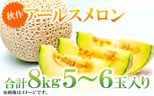 B-160 益田産アールスメロン8kg（5～6玉入り）【秋作】