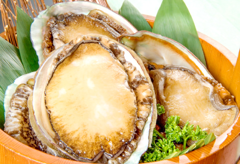 D-1047 日本海の新鮮あわび 800g