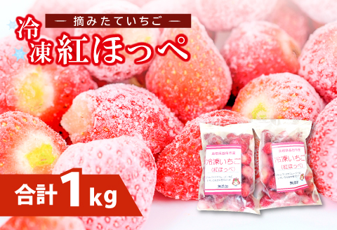 益田市産 冷凍いちご(紅ほっぺ)500g×2袋
