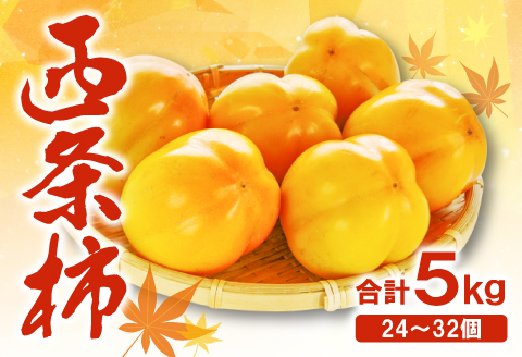 A-321 ぶち甘い西条柿 5kg