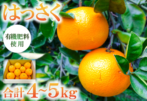 A-859 有機肥料使用「こだわりの八朔」