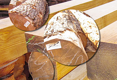 〈広葉樹 栗〉ちいさなまちの木材屋さんから送る フローリング（1820mm×105mm×15mm）15枚