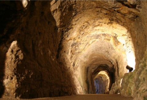 大田市観光小型タクシー貸切フリー利用券(2時間貸切)