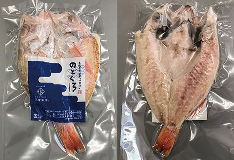 【定期便】島根県沖！大ぶり「のどぐろ一夜干」定期便（6回お届け）【定期便 海鮮 のどぐろ 干物 2尾 6回 合計12尾 のどぐろ一夜干し のどぐろ干物 大ぶり 大 個包装 真空パック 冷凍 セット 島根県 大田市】