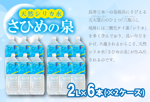ナチュラルミネラルウォーター「さひめの泉」2L×6本×2箱【水・ミネラルウォーター 2000ml 水 2L 12本 天然水 ミネラルウォーター 軟水 シリカ水 シリカ ペットボトル】