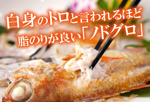 岡富商店のたっぷり干物セット【干物 セット 無添加 干物セット のどぐろ干物 2枚 計100g 穴子干物 1尾 1/2カット あじ干物 2枚 計200g エテかれい干物 3枚 計200g はたはた干物 110g ニギス干物 200g】