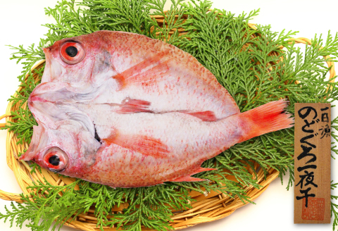 特大干物！のどぐろ一夜干し 1枚【のどぐろ 特大 一夜干し 200g のどぐろ干物 無添加 天日塩 魚介類 魚 高級魚 ノドグロ アカムツ あかむつ 干物 新鮮 冷凍 真空パック 父の日 母の日】