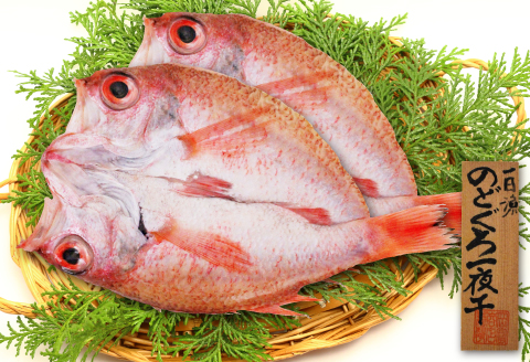 大ぶり干物！のどぐろ一夜干し 2枚【のどぐろ特大 合計400g のどぐろ干物 無添加 天日塩 魚介類 魚 高級魚 ノドグロ アカムツ あかむつ 特大 干物 新鮮 冷凍 真空パック 贈答 ギフト 父の日 母の日】